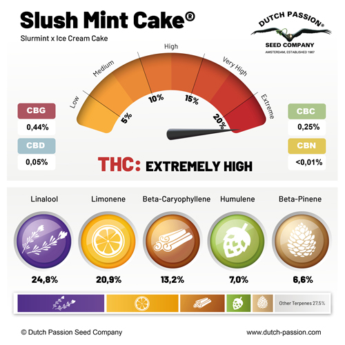 Slush mint cake terpenes